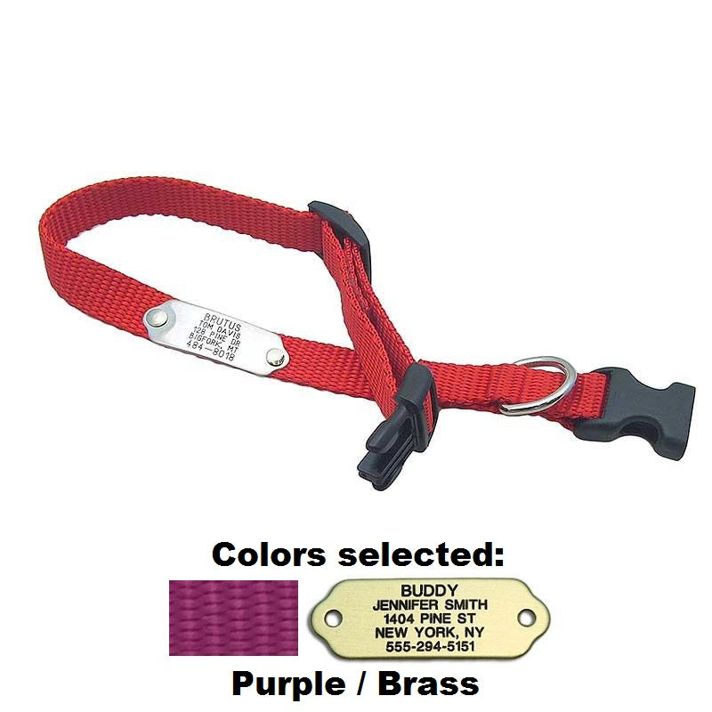 Rivet ID Collar for Dogs, - Lucky Pet